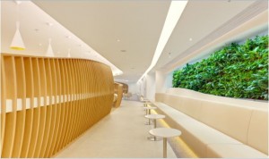 mur-vegetal-skyteam-salon-aeroport